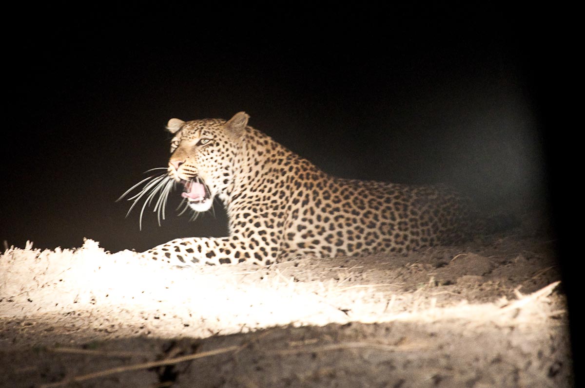 Verschmutzter Dieselfilter