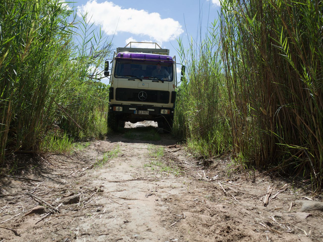 LKW durch dichtes Schilf, Botswana