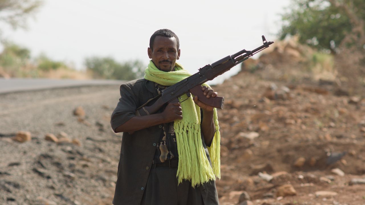 Löwen unter einem Baum, Namibia